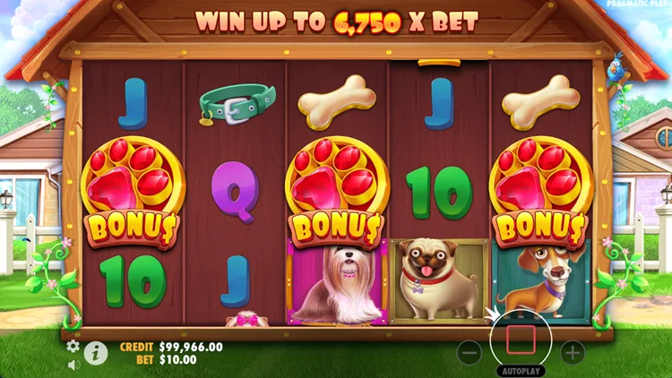 The Dog House bonus round