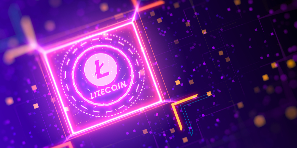 Litecoin Baccarat at Winz.io