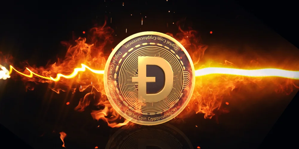 Dogecoin Baccarat at Winz.io